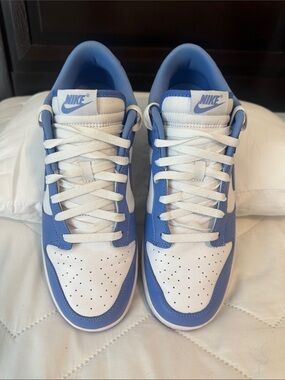 Nike Dunk Low Polar Blue and White Retro Men 10.5 Excellent Condition DV0833-400